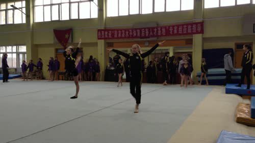 2015 Gymnastics Season Video